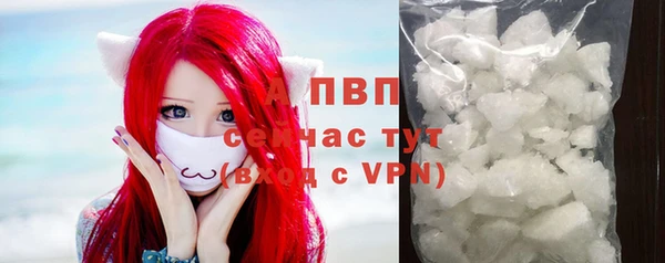 ECSTASY Богородицк