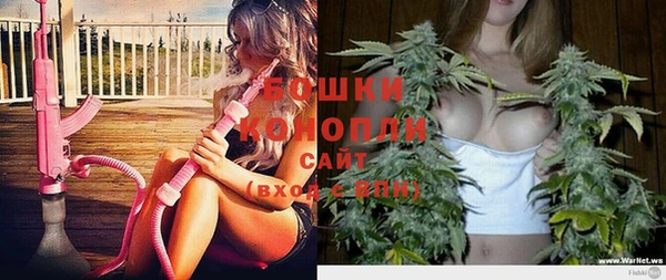 амф Бронницы