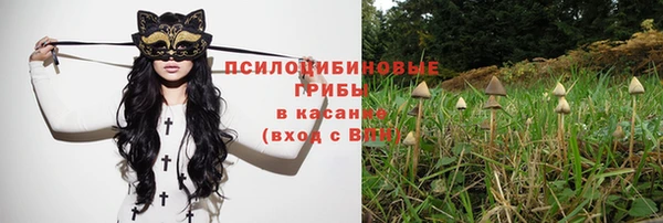 ECSTASY Богородицк