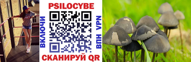 Галлюциногенные грибы Magic Shrooms  Купить где  Лермонтов 